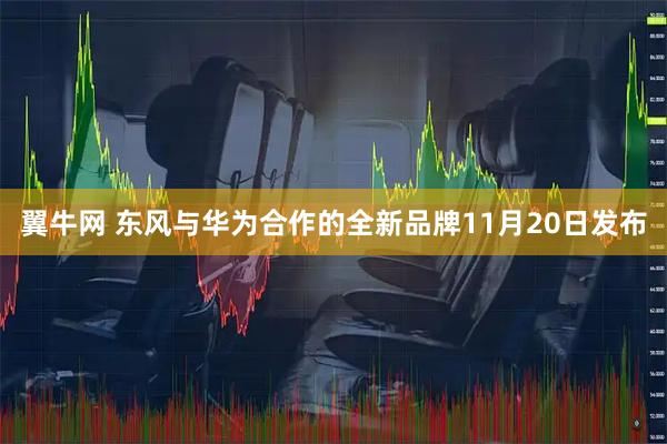 翼牛网 东风与华为合作的全新品牌11月20日发布