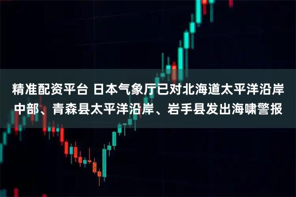 精准配资平台 日本气象厅已对北海道太平洋沿岸中部、青森县太平洋沿岸、岩手县发出海啸警报