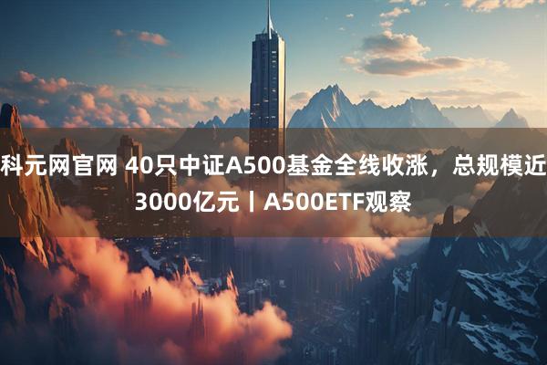 科元网官网 40只中证A500基金全线收涨，总规模近3000亿元丨A500ETF观察