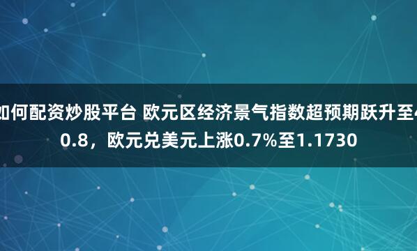 如何配资炒股平台 欧元区经济景气指数超预期跃升至40.8，欧元兑美元上涨0.7%至1.1730